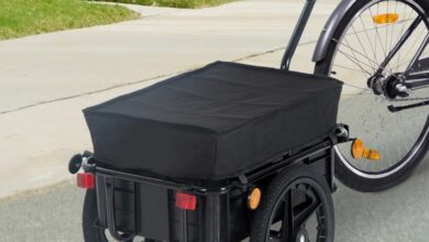 Photo of The 8 Best Bike Trailers of 2022