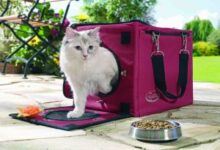 Photo of The 5 Best Cat Carriers of 2022