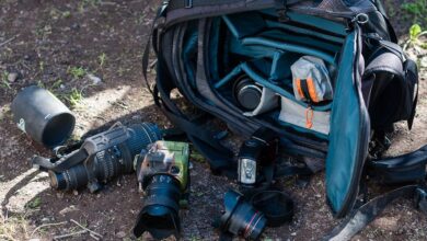 Photo of The 9 Best Photo Backpacks of 2022