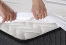 Photo of The 5 Best Mattress Protectors of 2022
