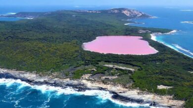 Photo of The pink water of Lake Hillier in Australia