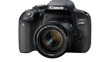 Photo of Canon EOS 800D Reviews