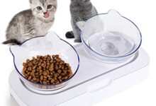 Photo of The 9 Best Cat Feeders of 2022