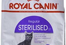 Photo of Royal Canin Sterilized Reviews