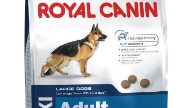 Photo of Royal Canin Maxi Adult Reviews