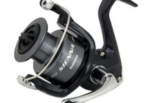 Photo of Opinions about Shimano Sienna 1000