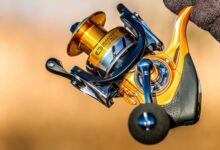 Photo of The best fishing reel