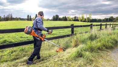 Photo of How to choose and use a brushcutter correctly
