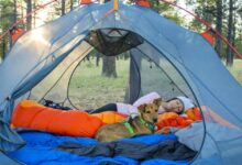 Photo of The best sleeping bags