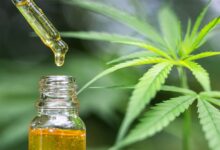 Photo of Discover the 6 surprising benefits for your health of CBD oil