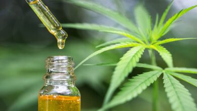 Photo of Discover the 6 surprising benefits for your health of CBD oil