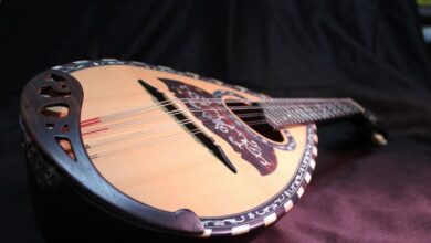 Photo of best mandolin