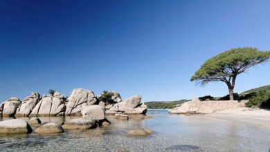 Photo of Why fall in love with the Island of Corsica?