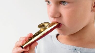 Photo of The 9 Best Kazoos of 2022