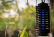 Photo of The 9 Best Anti-Mosquito Lamps of 2022