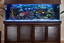 Photo of The 9 Best Tables for Aquariums of 2022