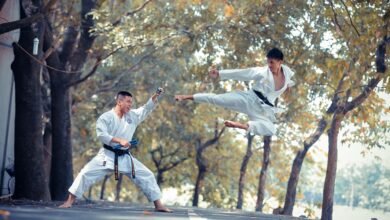 Photo of 12 types of martial arts