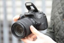 Photo of The best Canon SLR cameras