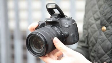 Photo of The best Canon SLR cameras