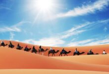Photo of What to see and do in the Merzouga desert?