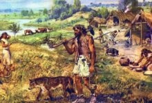 Photo of The prehistory for children