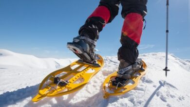 Photo of The 8 Best Snowshoes of 2022